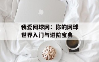 我爱网球网：你的网球世界入门与进阶宝典