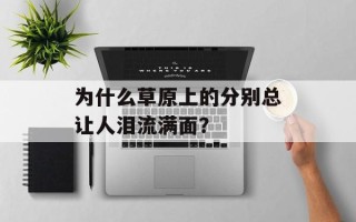 为什么草原上的分别总让人泪流满面？