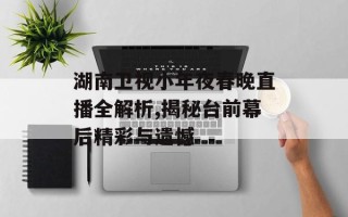 湖南卫视小年夜春晚直播全解析,揭秘台前幕后精彩与遗憾