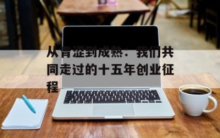 从青涩到成熟：我们共同走过的十五年创业征程