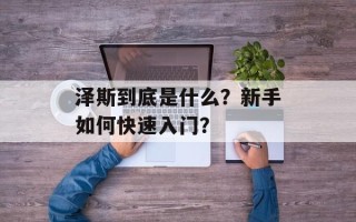 泽斯到底是什么？新手如何快速入门？