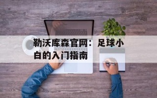 勒沃库森官网：足球小白的入门指南