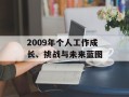 2009年个人工作成长、挑战与未来蓝图