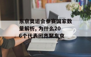 东京奥运会参赛国家数量解析, 为什么206个代表团齐聚东京