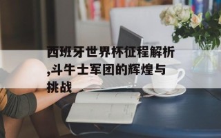 西班牙世界杯征程解析,斗牛士军团的辉煌与挑战