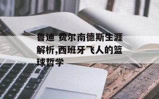 鲁迪 费尔南德斯生涯解析,西班牙飞人的篮球哲学