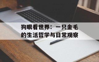 狗眼看世界：一只金毛的生活哲学与日常观察