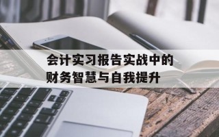 会计实习报告实战中的财务智慧与自我提升