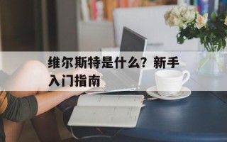 维尔斯特是什么？新手入门指南