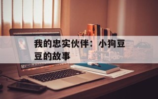 我的忠实伙伴：小狗豆豆的故事