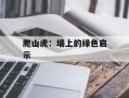 爬山虎：墙上的绿色启示