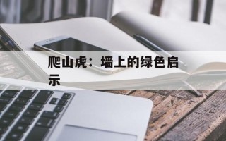 爬山虎：墙上的绿色启示