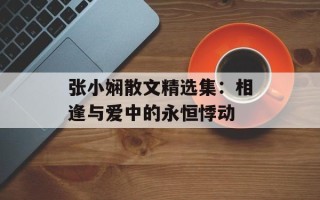 张小娴散文精选集：相逢与爱中的永恒悸动
