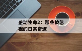 感动生命2：那些被忽视的日常奇迹