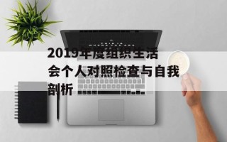 2019年度组织生活会个人对照检查与自我剖析