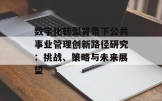 数字化转型背景下公共事业管理创新路径研究：挑战、策略与未来展望