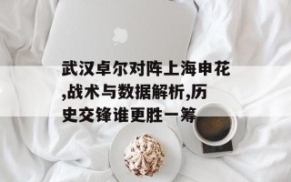 武汉卓尔对阵上海申花,战术与数据解析,历史交锋谁更胜一筹