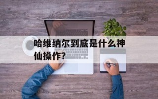 哈维纳尔到底是什么神仙操作？