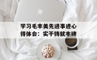 学习毛丰美先进事迹心得体会：实干铸就丰碑