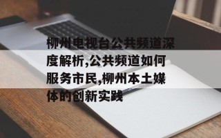 柳州电视台公共频道深度解析,公共频道如何服务市民,柳州本土媒体的创新实践