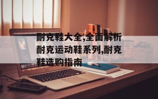 耐克鞋大全,全面解析耐克运动鞋系列,耐克鞋选购指南