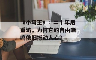 《小马王》：二十年后重访，为何它的自由嘶鸣依旧撼动人心？