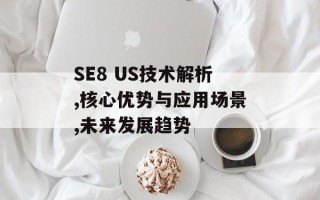 SE8 US技术解析,核心优势与应用场景,未来发展趋势