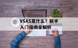 VSAS是什么？新手入门指南全解析