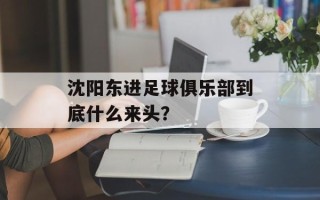沈阳东进足球俱乐部到底什么来头？