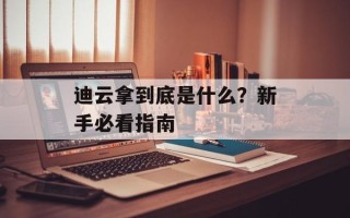 迪云拿到底是什么？新手必看指南