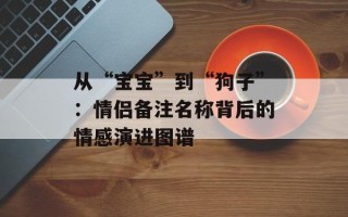 从“宝宝”到“狗子”：情侣备注名称背后的情感演进图谱