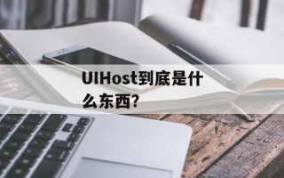 UIHost到底是什么东西？