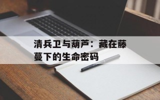 清兵卫与葫芦：藏在藤蔓下的生命密码