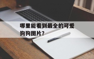 哪里能看到最全的可爱狗狗图片？