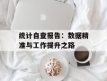 统计自查报告：数据精准与工作提升之路