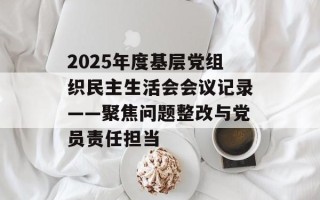 2025年度基层党组织民主生活会会议记录——聚焦问题整改与党员责任担当