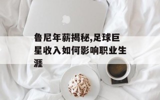 鲁尼年薪揭秘,足球巨星收入如何影响职业生涯