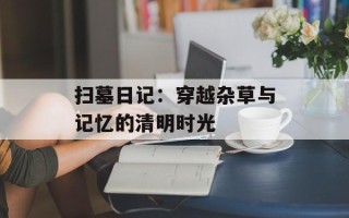 扫墓日记：穿越杂草与记忆的清明时光
