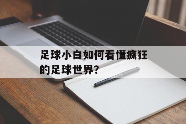 足球小白如何看懂疯狂的足球世界?-第1张图片- 足球小白如何看懂疯狂的足球世界?-第1张图片-