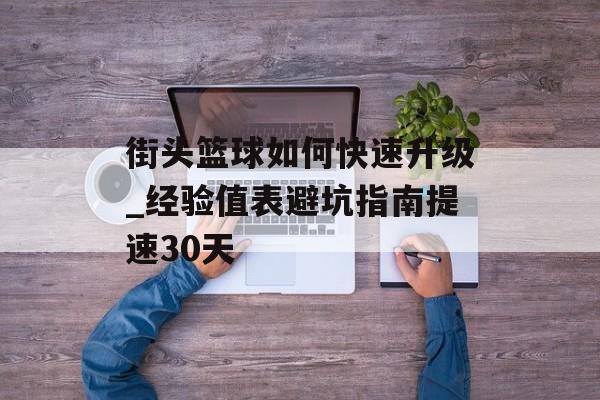 街头篮球如何快速升级_经验值表避坑指南提速30天-第1张图片- 街头篮球如何快速升级_经验值表避坑指南提速30天-第1张图片-