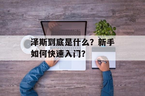 泽斯到底是什么？新手如何快速入门？-第1张图片-