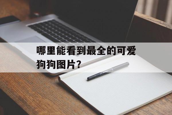 哪里能看到最全的可爱狗狗图片？-第1张图片-