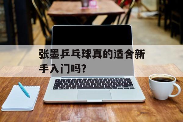 张墨乒乓球真的适合新手入门吗？-第1张图片-
