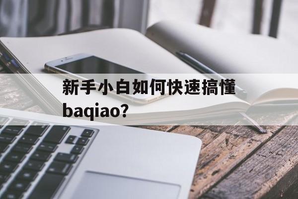 新手小白如何快速搞懂baqiao？-第1张图片-