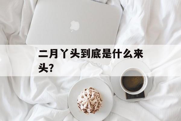 二月丫头到底是什么来头？-第1张图片-