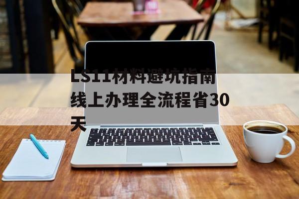 LS11材料避坑指南线上办理全流程省30天-第1张图片-
