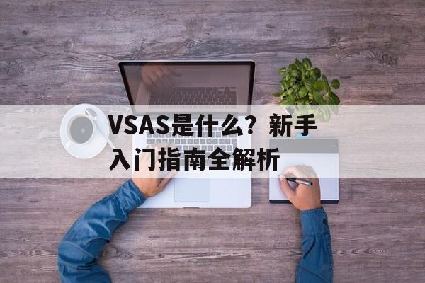 VSAS是什么？新手入门指南全解析-第1张图片-