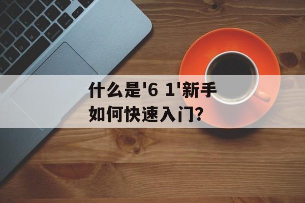 什么是'6 1'新手如何快速入门？-第1张图片-