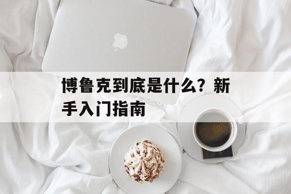博鲁克到底是什么？新手入门指南-第1张图片-